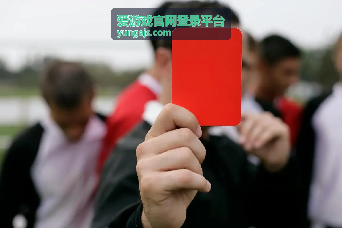 爱游戏官网登录平台内容分类排行封面