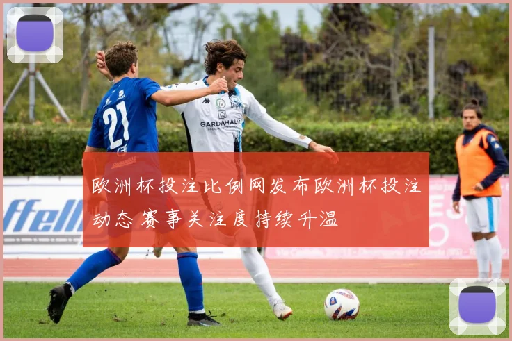 欧洲杯投注比例网发布欧洲杯投注动态 赛事关注度持续升温