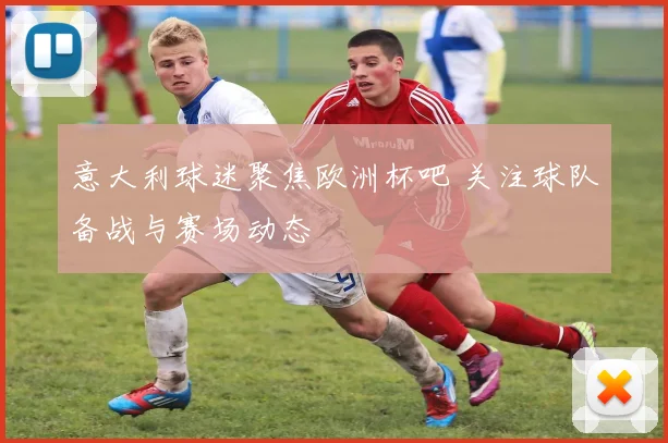 意大利球迷聚焦欧洲杯吧 关注球队备战与赛场动态