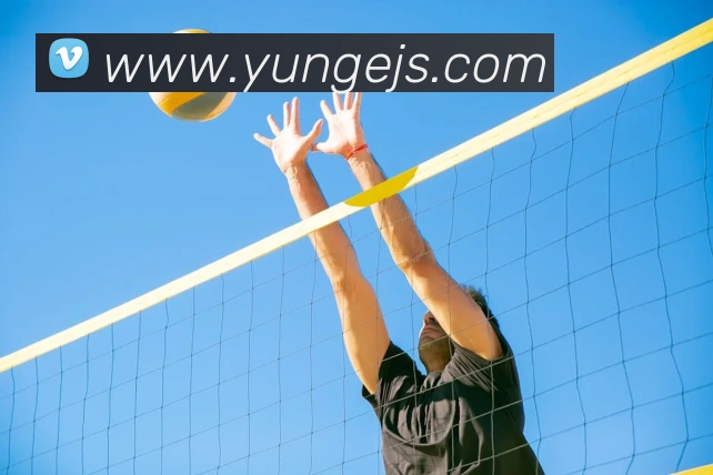 半岛在线登录首页APP 体育赛事宣传图